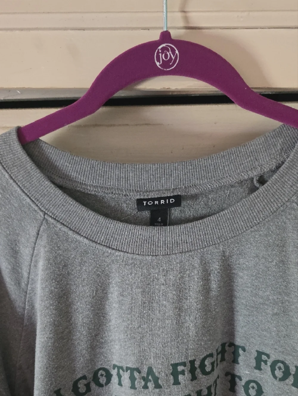 torrid Heather Gray Sweatshirt with Rainbow Striped Sleeves - Picture 3 of 3